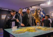 Cine y memoria: Malvinas llega a la pantalla para toda la comunidad