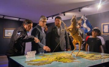 Cine y memoria: Malvinas llega a la pantalla para toda la comunidad