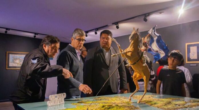 Cine y memoria: Malvinas llega a la pantalla para toda la comunidad