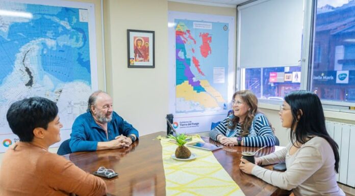 Energía solar gana terreno en espacios públicos de la Patagonia