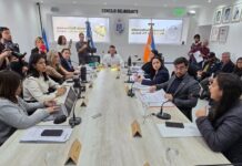 Debate en comisión sobre obras, digitalización y seguridad ciudadana