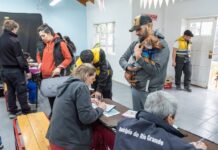 Modifican temporalmente el horario de atención en Servicios Veterinarios por trabajos de mantenimiento