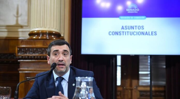 Agustín Coto encabezará la comisión que debatirá la reforma electoral en el Senado