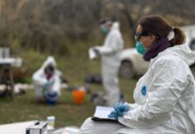 Finalizó el operativo de vigilancia por hantavirus en Ushuaia