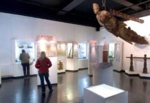Convocan a artistas fueguinos a participar de una muestra en el Museo del Fin del Mundo