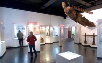 Convocan a artistas fueguinos a participar de una muestra en el Museo del Fin del Mundo