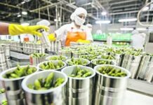 Convocan a un nuevo encuentro virtual para PyMEs del sector agroalimentario