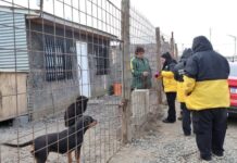 Los servicios veterinarios continúan llegando a distintos barrios con acciones de prevención y atención