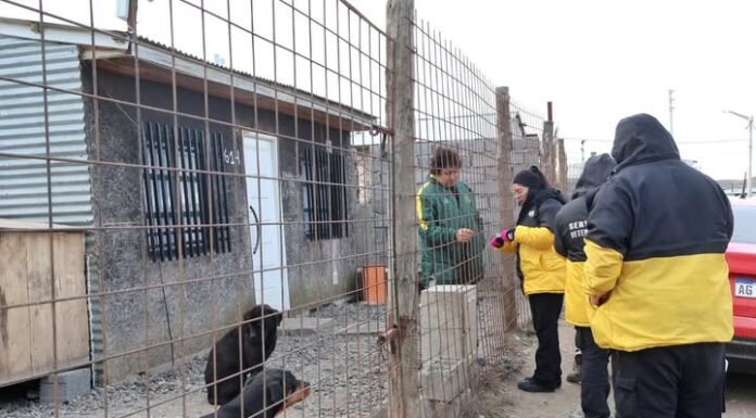 Los servicios veterinarios continúan llegando a distintos barrios con acciones de prevención y atención