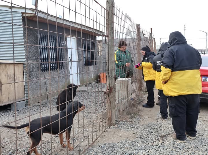 Los servicios veterinarios continúan llegando a distintos barrios con acciones de prevención y atención