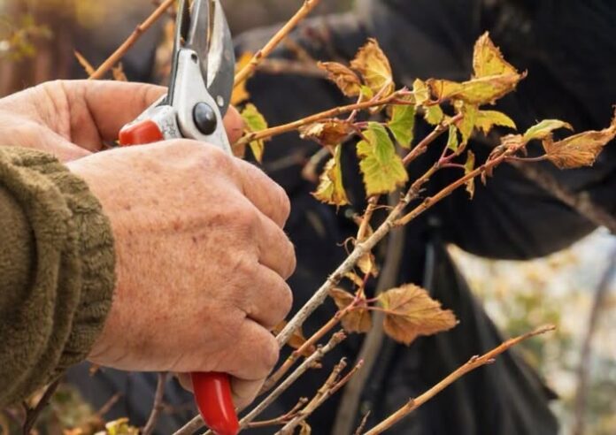 763098466_10242410863397357_9095524139169771076_n