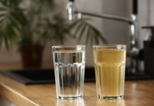 Aseguran que las variaciones en el agua se deben al deshielo y las lluvias