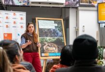 Capacitación y asistencia para fortalecer la producción hortícola en Río Grande
