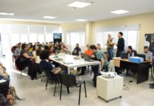 Convocan a presentar proyectos para la conservación y manejo de los bosques nativos