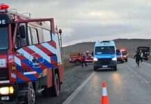 Tragedia en la Ruta 3: murió un ciclista y el conductor quedó detenido